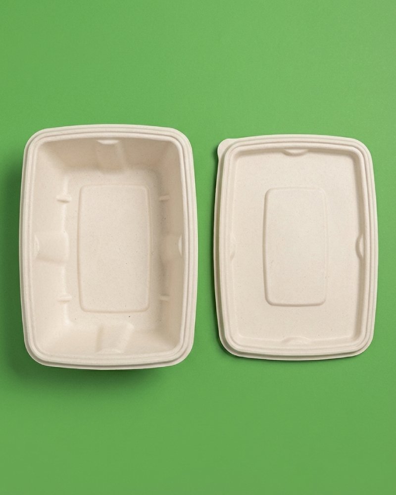 Extra-Large 1000ml Bagasse Takeaway Box - Eco-Friendly Food Container