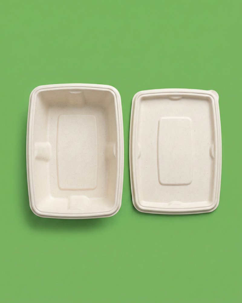 Small 450ml Rectangle Bagasse Takeaway Box - Eco-Friendly Food Container