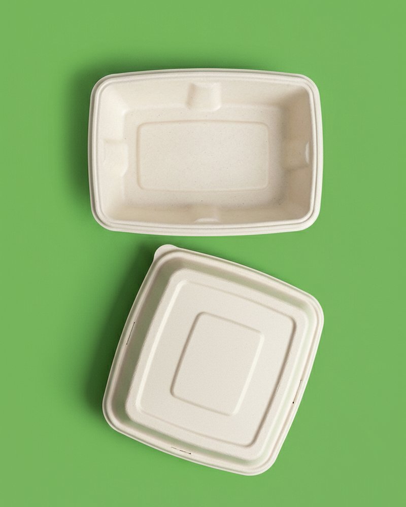 Small 450ml Square Bagasse Takeaway Box - Eco-Friendly Food Container
