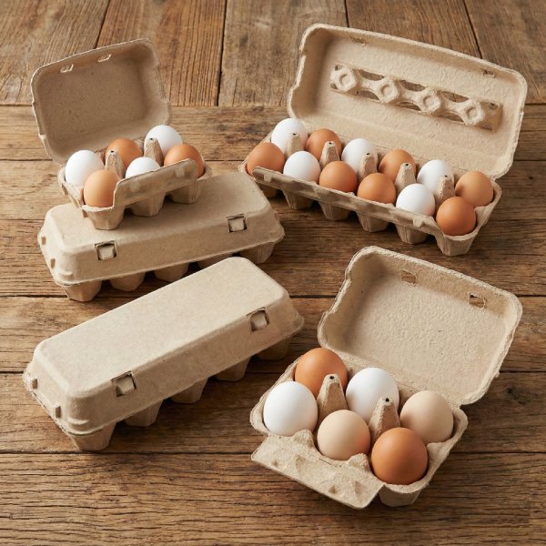 Bagasse Egg Cartons - Eco-Friendly Industrial Packaging